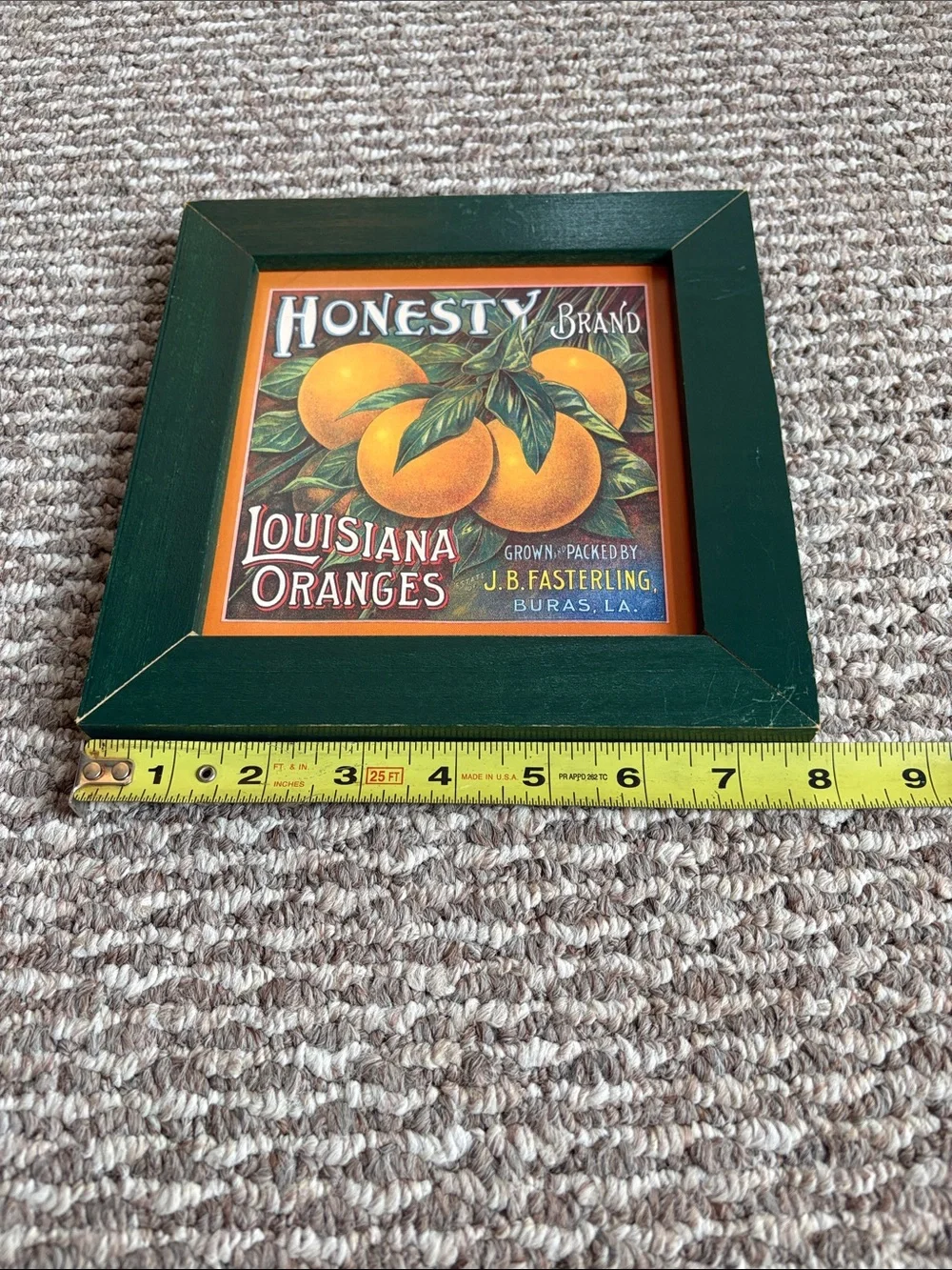 Louisiana Oranges Framed Wall Art